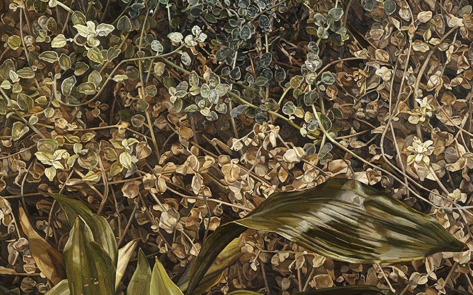 Lucien Freud, Two Plants, 1977-80 (oil on canvas)